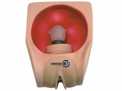 高級女性避孕練習模型